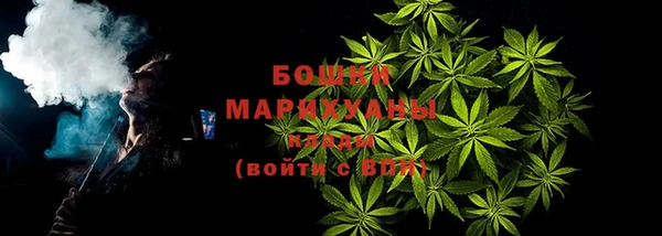 шишки Горнозаводск
