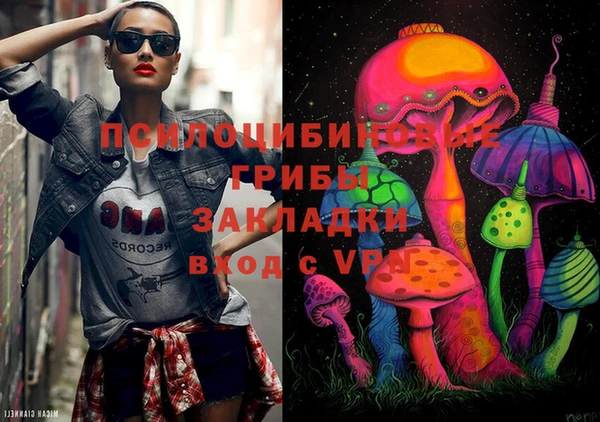 шишки Горнозаводск