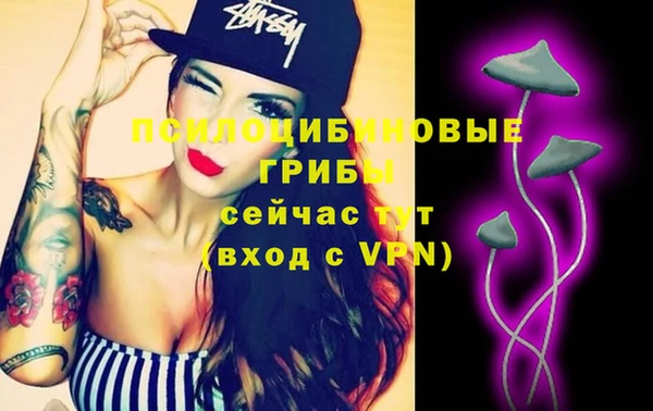 шишки Горнозаводск